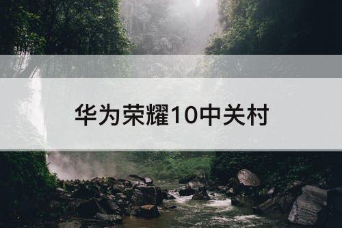 华为荣耀10中关村