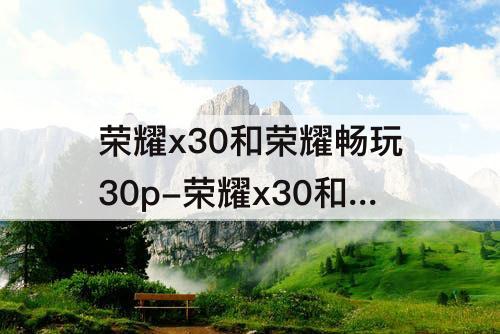 荣耀x30和荣耀畅玩30p-荣耀x30和荣耀畅玩30plus对比