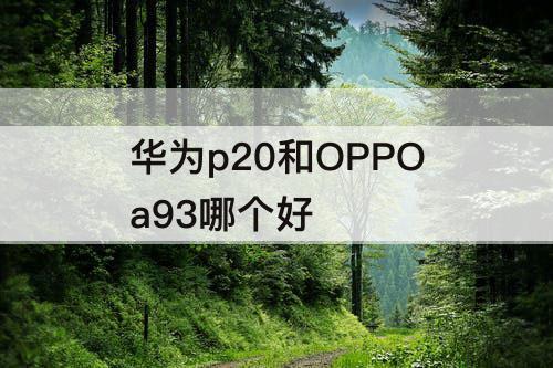 华为p20和OPPOa93哪个好