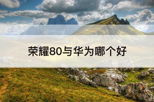 荣耀80与华为哪个好