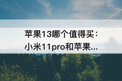 苹果13哪个值得买：小米11pro和苹果13哪个值得买
