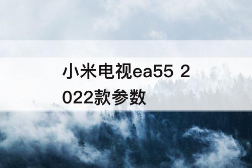 小米电视ea55 2022款参数