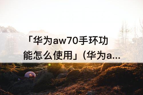 「华为aw70手环功能怎么使用」(华为aw70手环功能怎么使用视频)