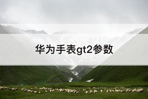 华为手表gt2参数
