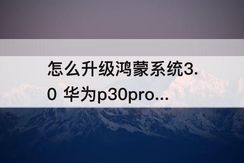 怎么升级鸿蒙系统3.0 华为p30pro怎么升级鸿蒙系统3.0
