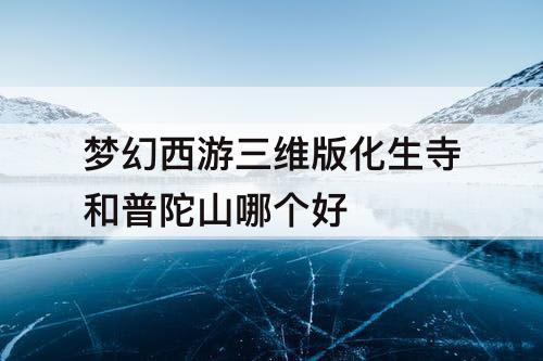 梦幻西游三维版化生寺和普陀山哪个好