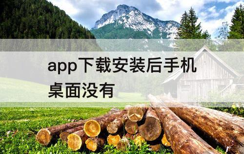 app下载安装后手机桌面没有