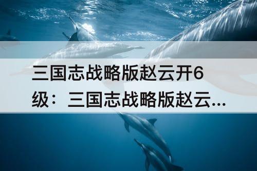 三国志战略版赵云开6级：三国志战略版赵云开6级地多少兵力
