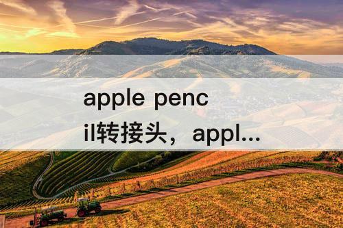 apple pencil转接头，apple pencil转接头丢了
