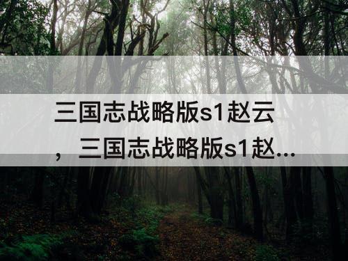 三国志战略版s1赵云，三国志战略版s1赵云多少级开6