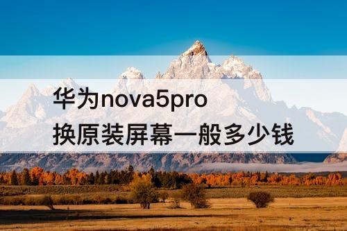 华为nova5pro换原装屏幕一般多少钱