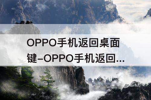 OPPO手机返回桌面键-OPPO手机返回桌面键无法用怎么回事?