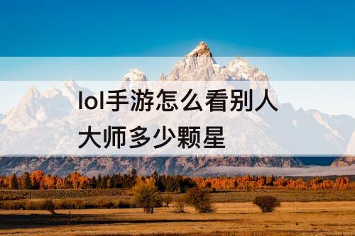 lol手游怎么看别人大师多少颗星