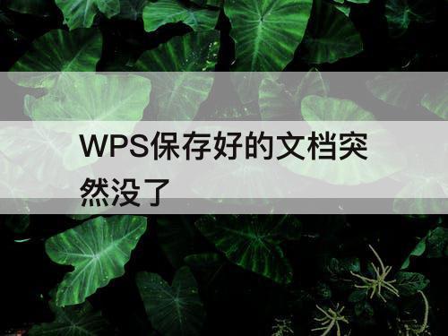 WPS保存好的文档突然没了