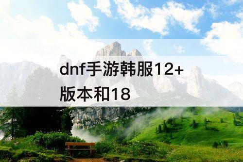 dnf手游韩服12+版本和18