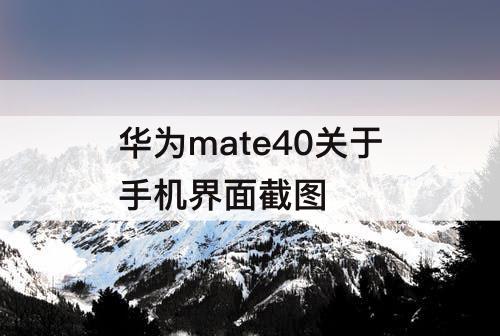 华为mate40关于手机界面截图