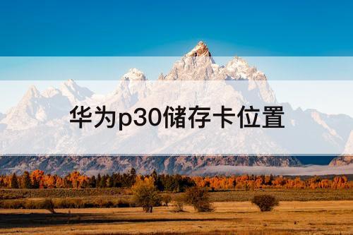 华为p30储存卡位置