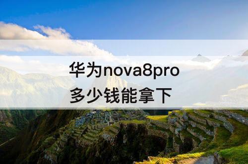 华为nova8pro多少钱能拿下