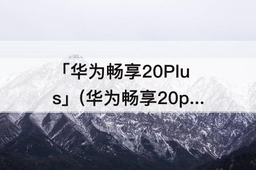 「华为畅享20Plus」(华为畅享20plus屏幕多大)