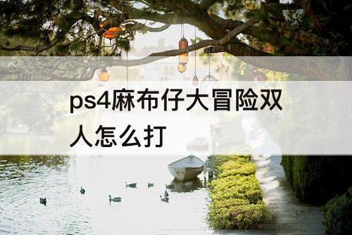 ps4麻布仔大冒险双人怎么打