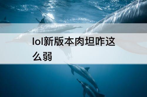 lol新版本肉坦咋这么弱