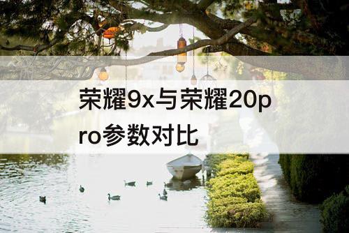 荣耀9x与荣耀20pro参数对比