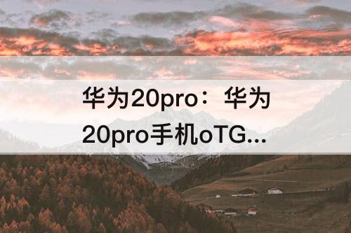 华为20pro：华为20pro手机oTG开关在哪打开
