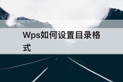 Wps如何设置目录格式
