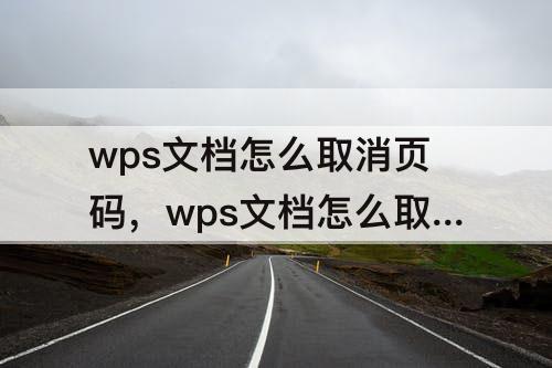 wps文档怎么取消页码，wps文档怎么取消页码设置