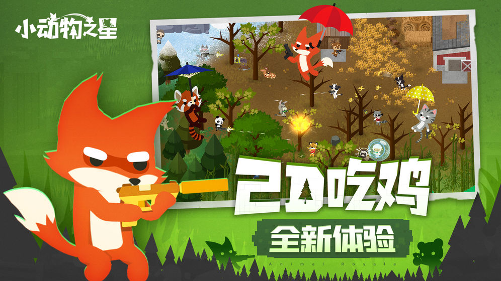 小动物之星2024截图