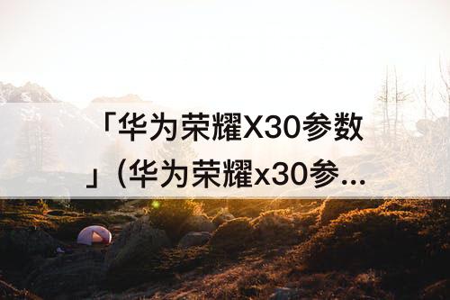 「华为荣耀X30参数」(华为荣耀x30参数配置详情)
