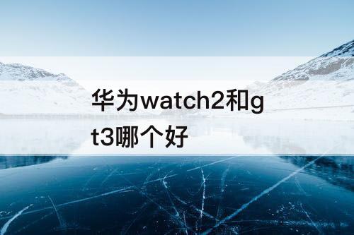 华为watch2和gt3哪个好