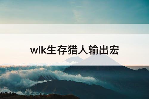 wlk生存猎人输出宏