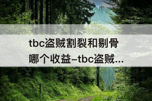tbc盗贼割裂和剔骨哪个收益-tbc盗贼割裂和剔骨哪个收益大