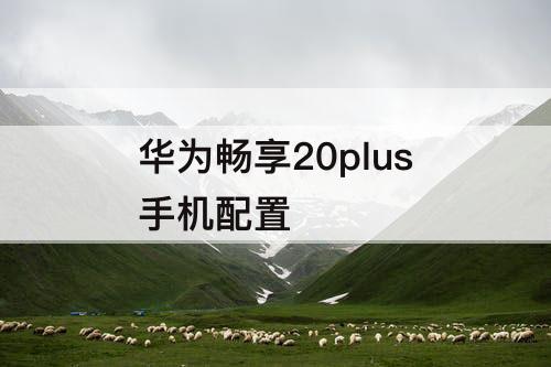 华为畅享20plus手机配置