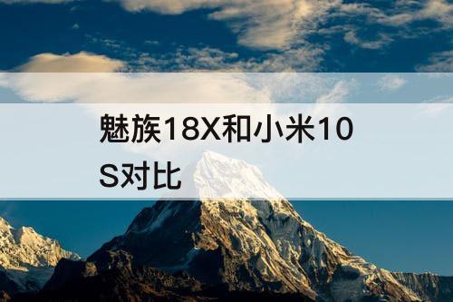 魅族18X和小米10S对比