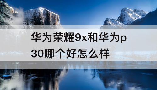 华为荣耀9x和华为p30哪个好怎么样