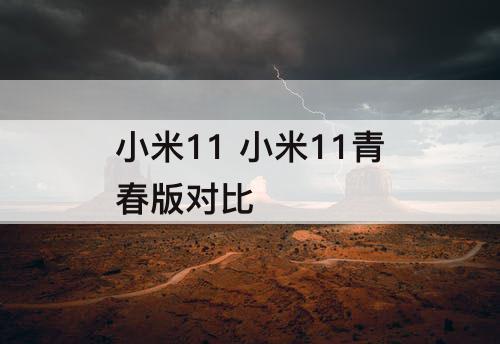 小米11 小米11青春版对比