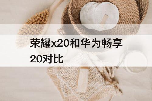 荣耀x20和华为畅享20对比