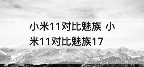 小米11对比魅族 小米11对比魅族17