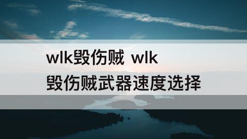wlk毁伤贼 wlk毁伤贼武器速度选择