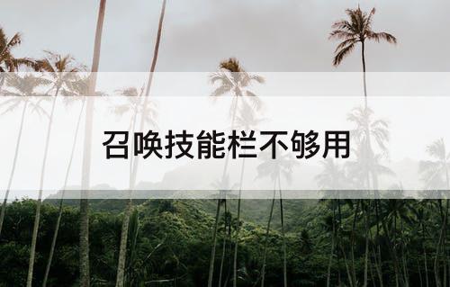 召唤技能栏不够用