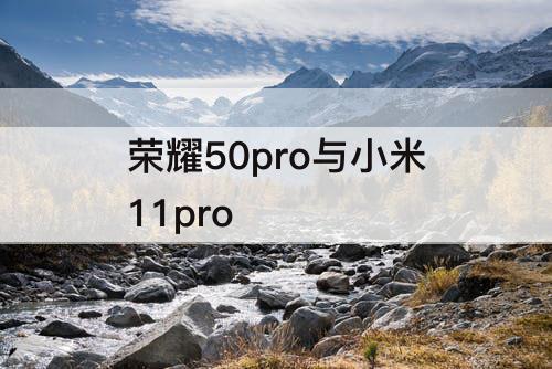 荣耀50pro与小米11pro