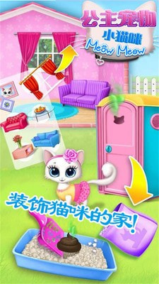 公主宠物小猫咪
