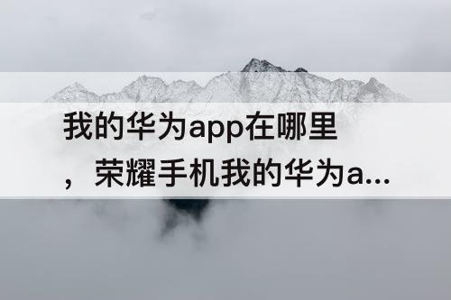 我的华为app在哪里，荣耀手机我的华为app在哪里