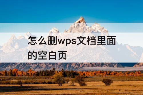怎么删wps文档里面的空白页