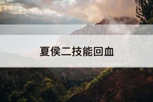 夏侯二技能回血