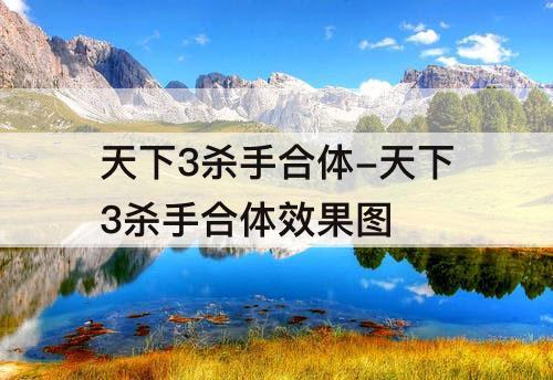 天下3杀手合体-天下3杀手合体效果图