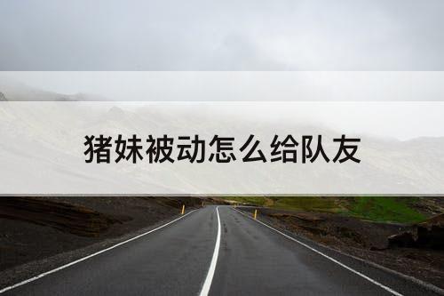 猪妹被动怎么给队友