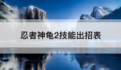 忍者神龟2技能出招表